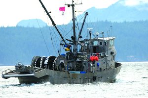 Canada’s Pacific Groundfish Trawl Fishery: Ecosystem Conflicts