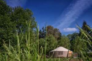 a yurt in the background of the image, surrounded by trees, with blurry plants in the foreground